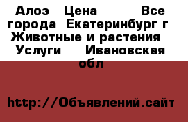 Алоэ › Цена ­ 150 - Все города, Екатеринбург г. Животные и растения » Услуги   . Ивановская обл.